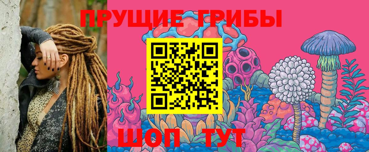 купить закладку  Вход с VPN  Дзержинск  Галлюциногенные грибы GOLDEN TEACHER 